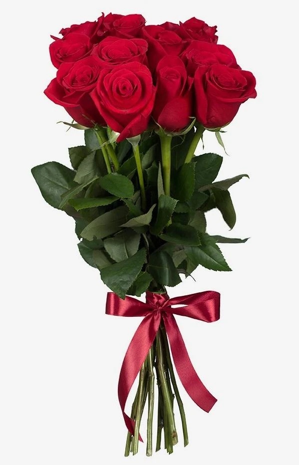 11 crvenih ruža